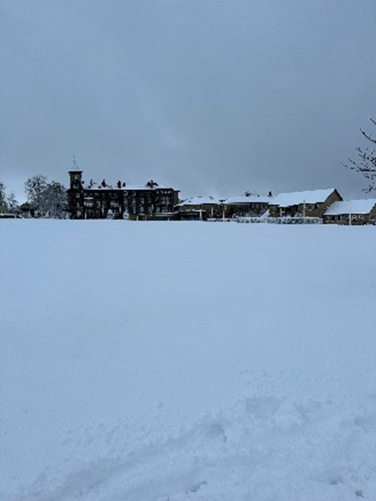 The Story in Pictures: Snow Day!