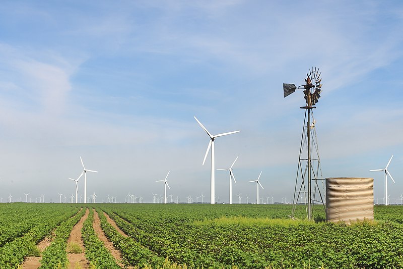 Why wind power is the future of UK energy